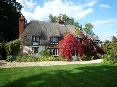 Cottage with autumn Virginia creeper