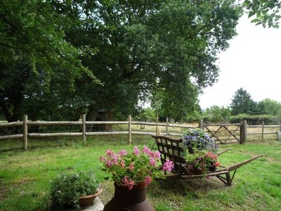 Wheelbarrow with flowers in the garden